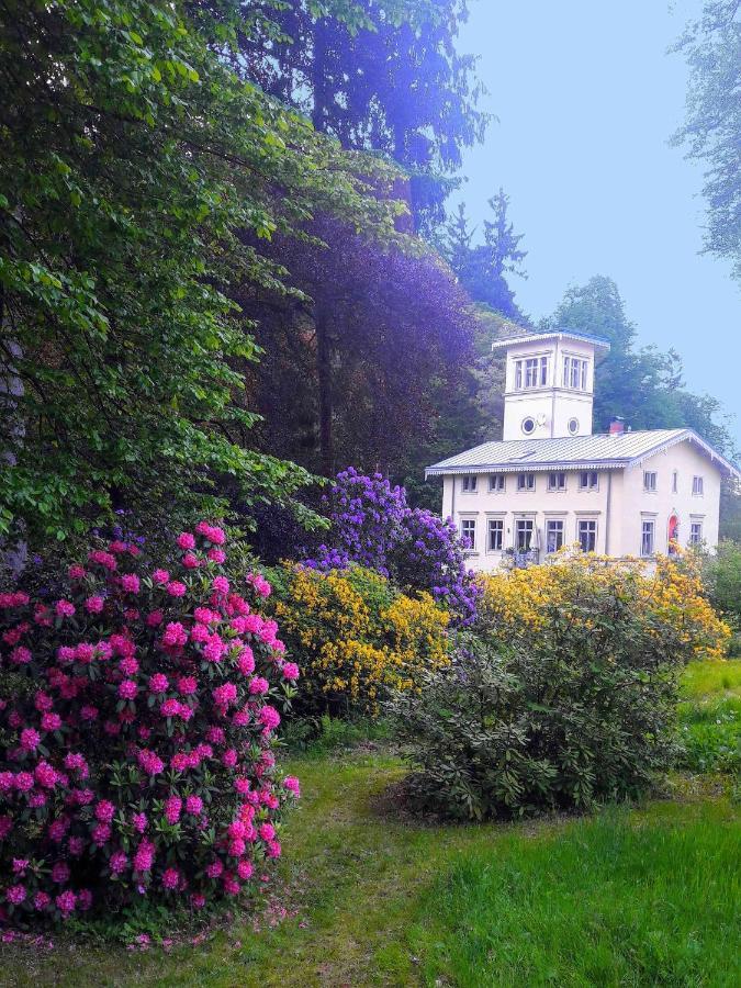 Вілла Rapunzel Trifft Dornroeschen Rosenthal-Bielatal Екстер'єр фото