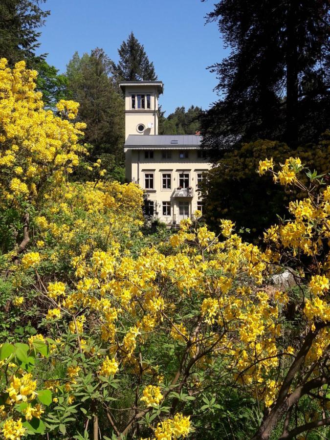 Вілла Rapunzel Trifft Dornroeschen Rosenthal-Bielatal Екстер'єр фото
